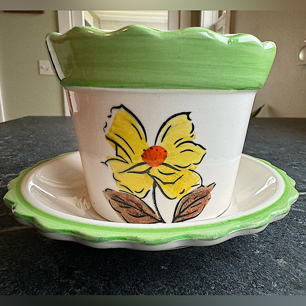 Small Plant pot / Plant Container 
AMERICAN BRAVO
KGC - 527 (FLOWER)